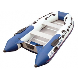Лодка Yamaran S 310
